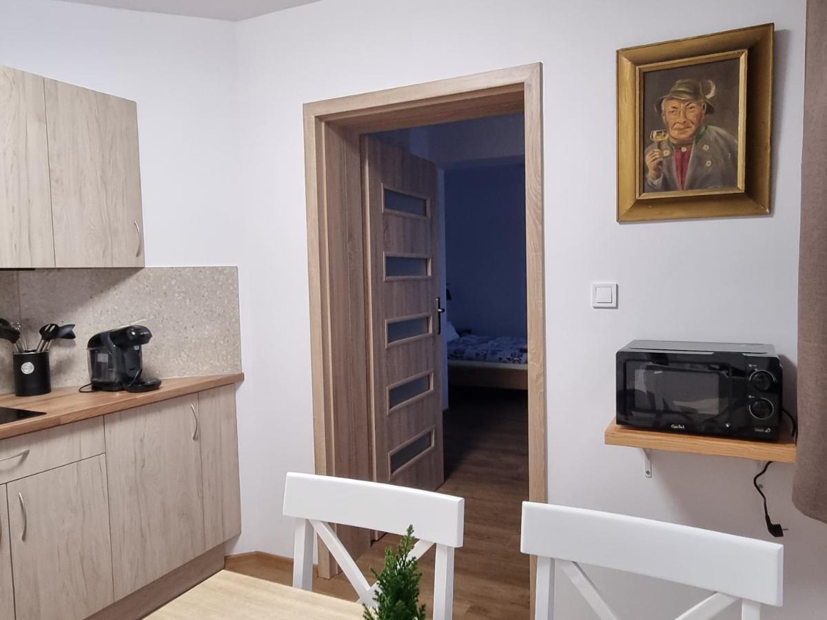Apartmany U Petra 耶塞尼克 外观 照片
